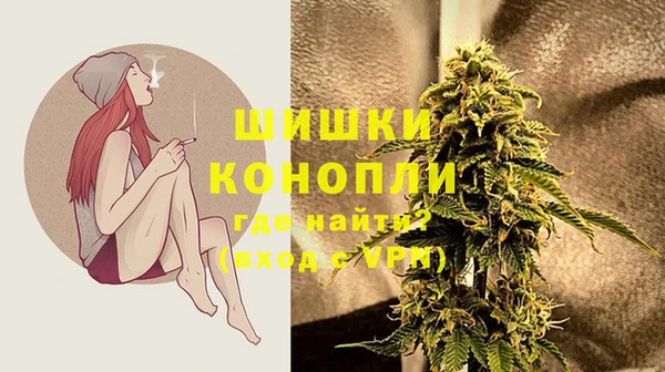 спайс Няндома