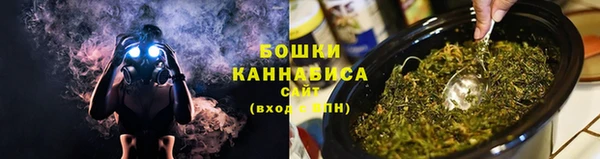 spice Аркадак